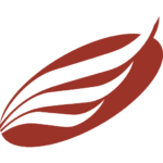 American Eagle Financial Credit Union logo
