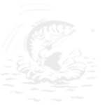 Andes State Bank logo