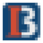 Bank Irvine logo