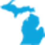 Bank Michigan logo