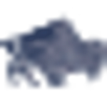 Buffalo Federal Bank logo
