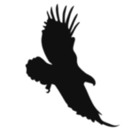 Eagle Bank logo