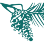 Evergreen Federal Bank logo