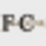 F & C Bank logo