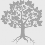 Fellowship Credit Union logo