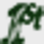 The First National Bank of Scott City logo
