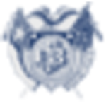 The First National Bank of Stanton logo