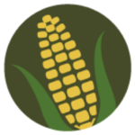 Longview Bank logo