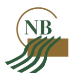 National Bank of St. Anne logo
