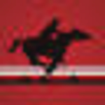 Pony Express Bank logo