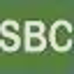 The Samson Banking Company, Inc. logo