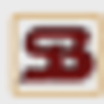 Security Bank of Pulaski County logo