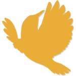 Caro Smart Financial Solutions logo