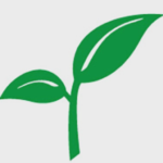 Spring Bank logo