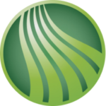 Webster Five Cents Savings Bank logo